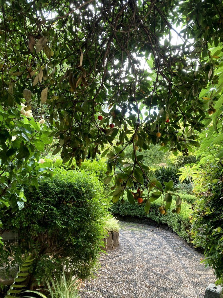 Strawberry tree leaves flowers and fruits 