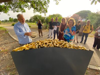 Giardini-Naxos, die Claudio Palmieri-Ausstellung im Archäologischen Park