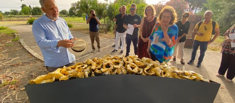 Giardini Naxos, l'exposition Claudio Palmieri au Parc Archéologique