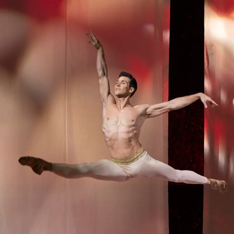 Roberto Bolle