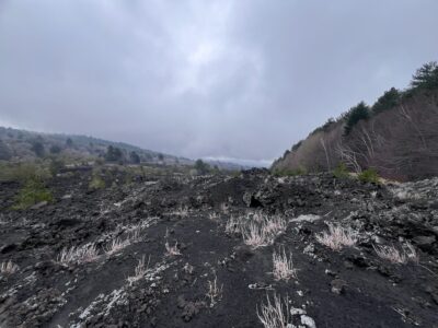 Escursioni sull'Etna in primavera