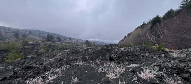 Escursioni sull'Etna in primavera