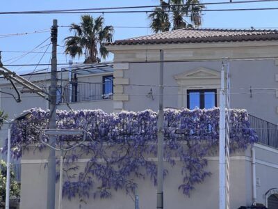 Villa Maria