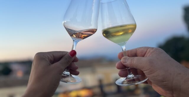 Vini dell'Etna